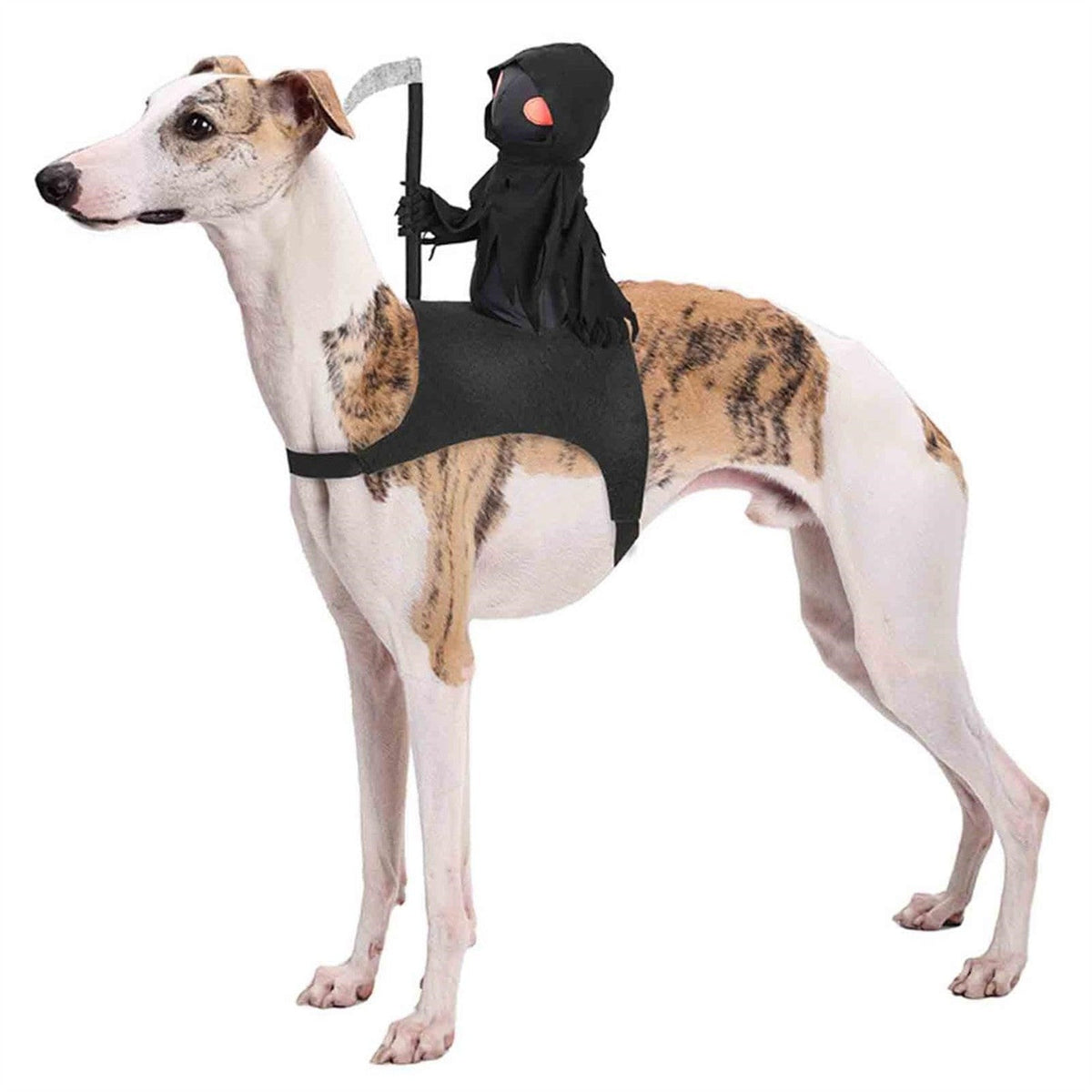 Skeleton Dog Costume Black - Funny Party Outfit for Medium and Large Dogs Halloween Costume | Sansoti