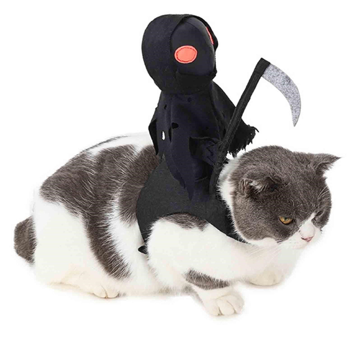 Skeleton Dog Costume Black - Funny Party Outfit for Medium and Large Dogs Halloween Costume | Sansoti