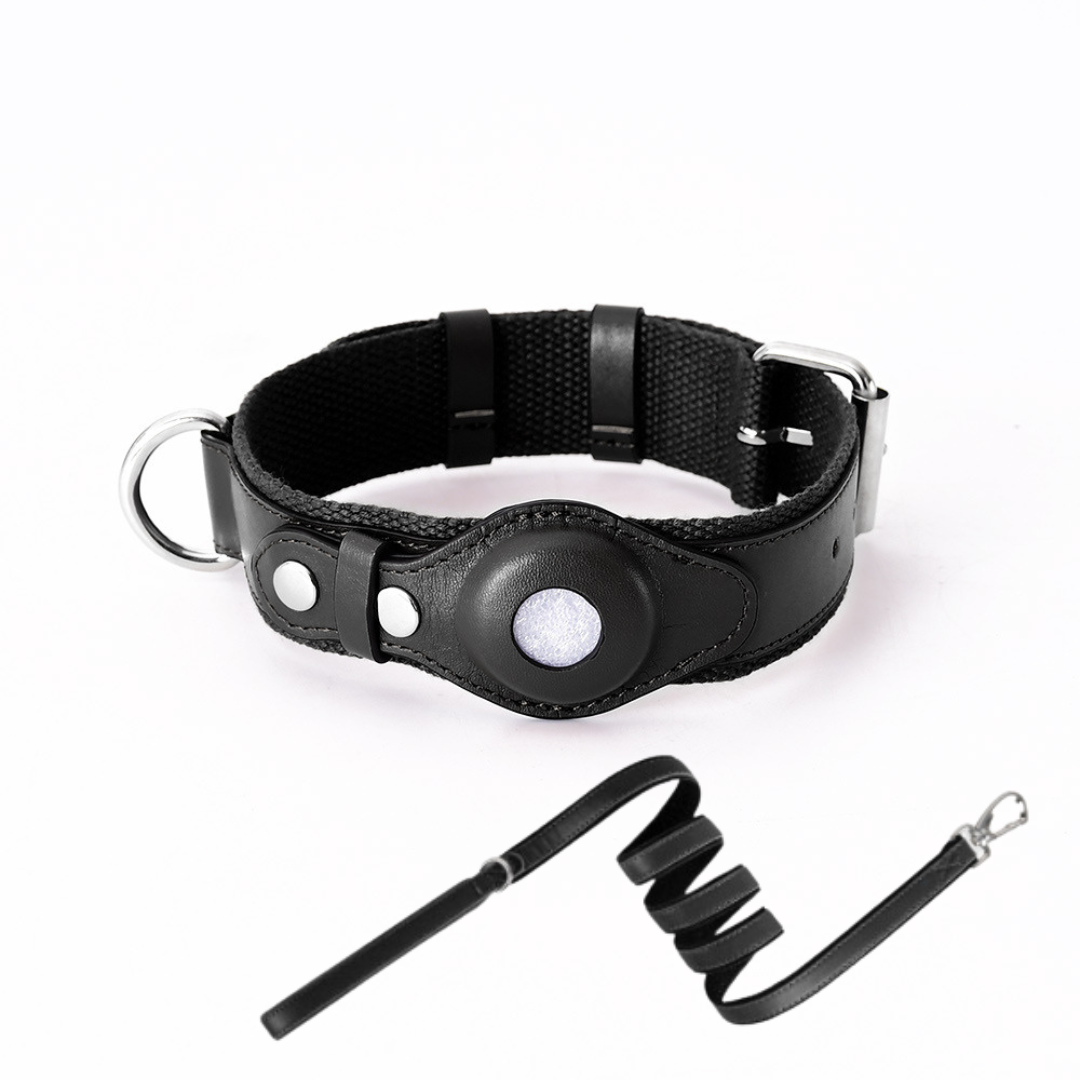 GPS-hondenhalsband met wereldwijde tracking zonder abonnement voor veilige wandelingen en volledige controle over je hond | Sansoti