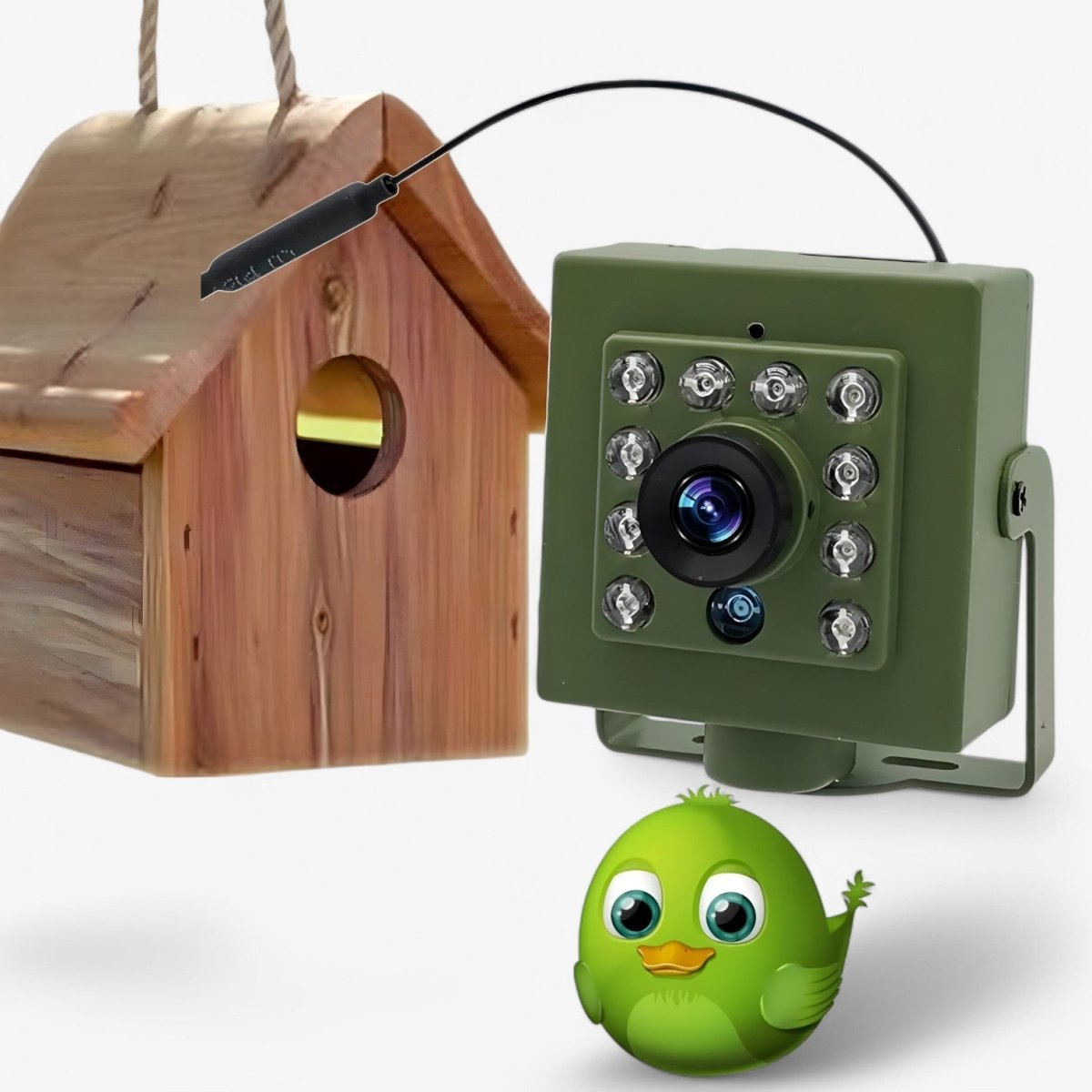 HD-camera voor vogels en wilde dieren met nachtzicht, bewegingsdetectie, live toegang via app en waterdicht | Sansoti