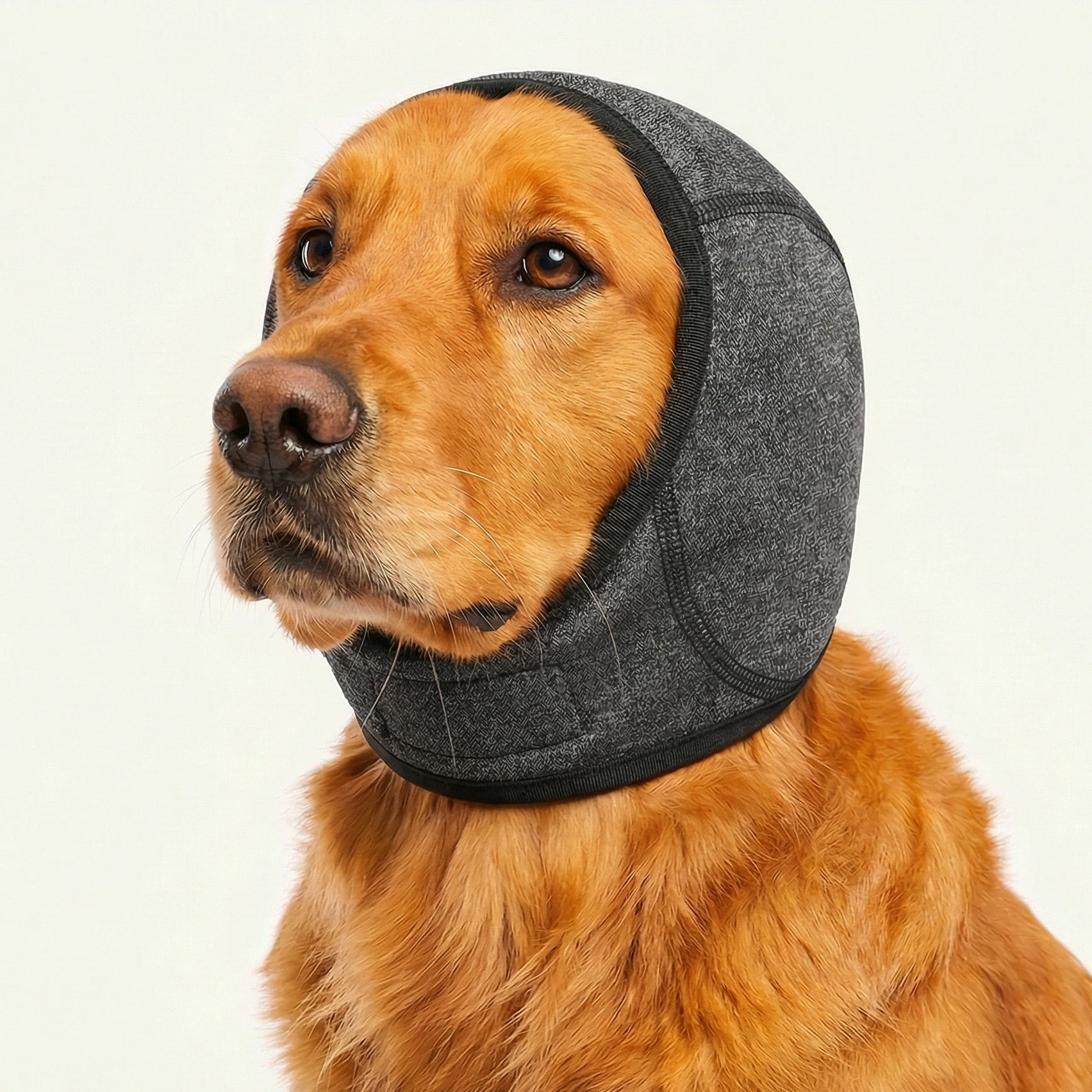 Oorbeschermer voor Honden – Verstelbaar Zacht Beschermkapje tegen Geluid en Lawaai voor Thuis Onderweg | Sansoti