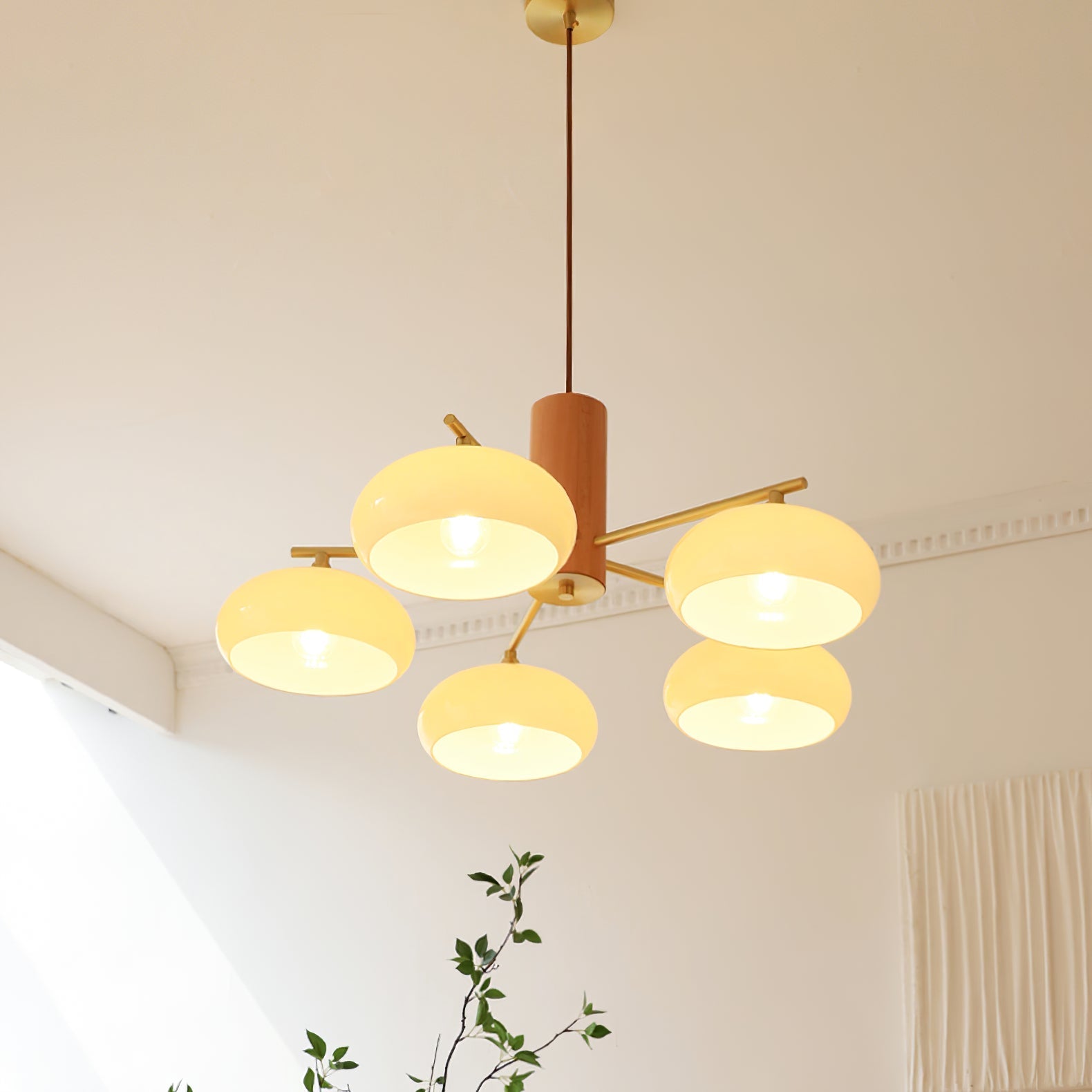 Ovale Design Kroonluchter Met Glazen Kappen En Messing Details Voor Woonkamer En Eetkamer | Sansoti