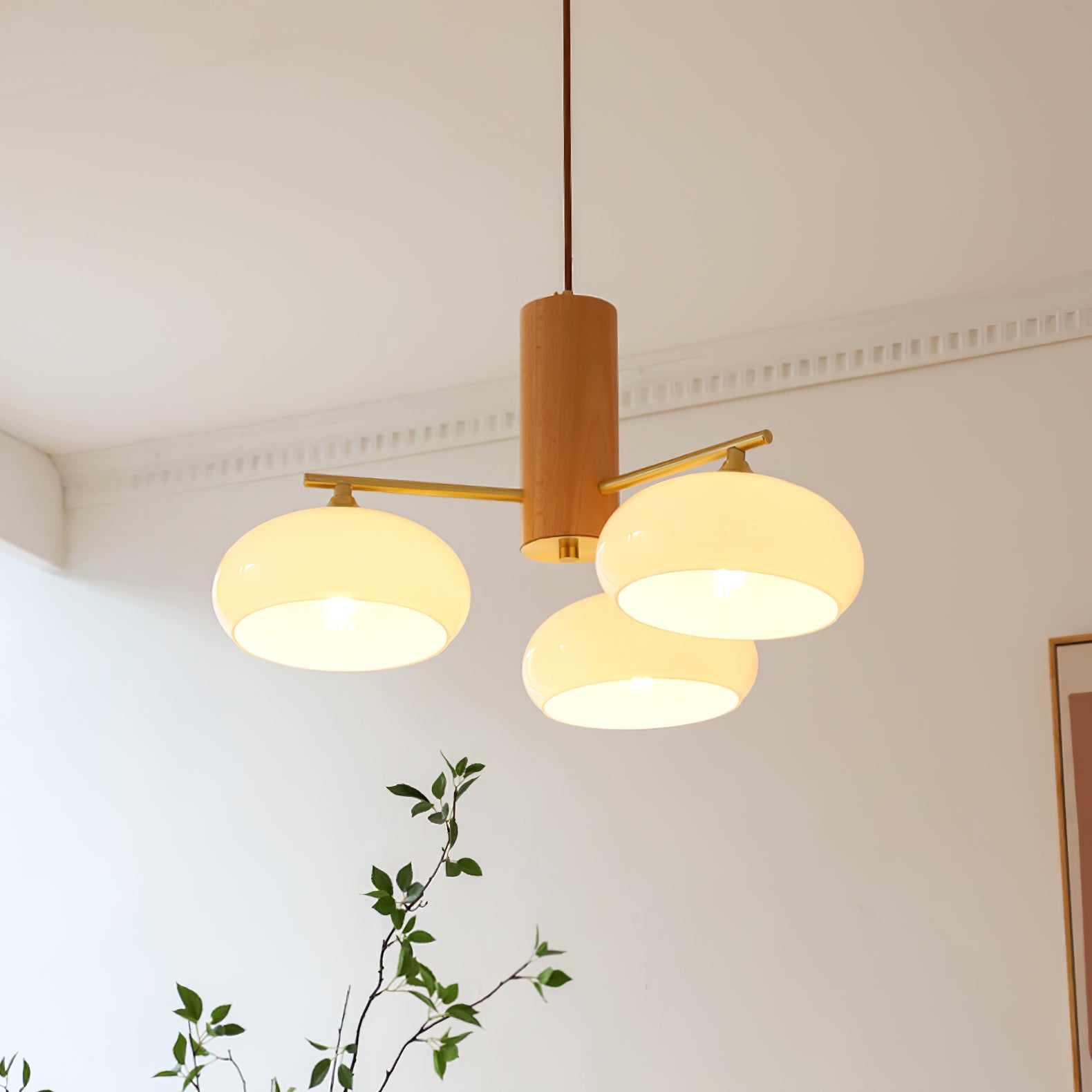 Ovale Design Kroonluchter Met Glazen Kappen En Messing Details Voor Woonkamer En Eetkamer | Sansoti