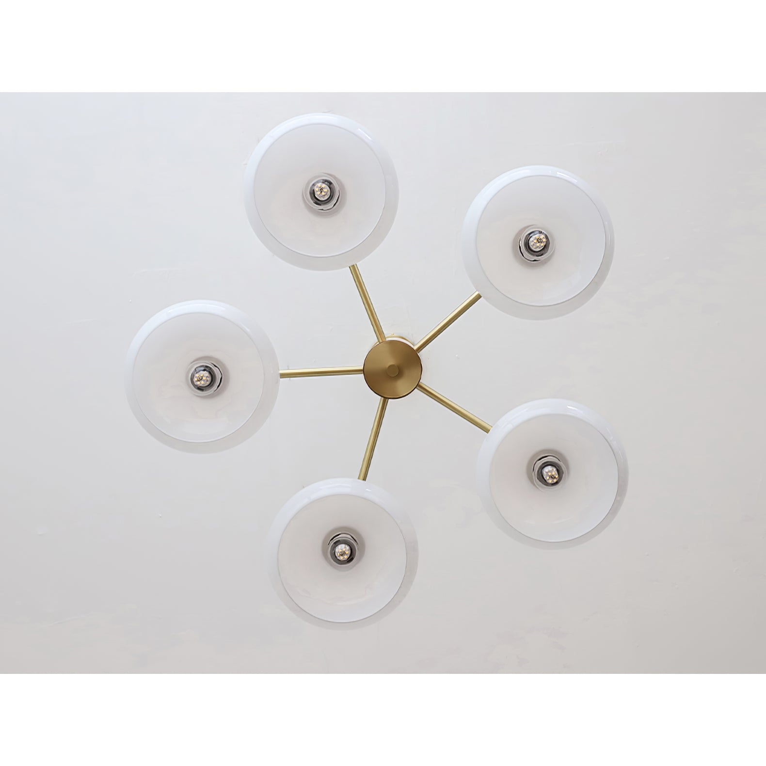 Ovale Design Kroonluchter Met Glazen Kappen En Messing Details Voor Woonkamer En Eetkamer | Sansoti