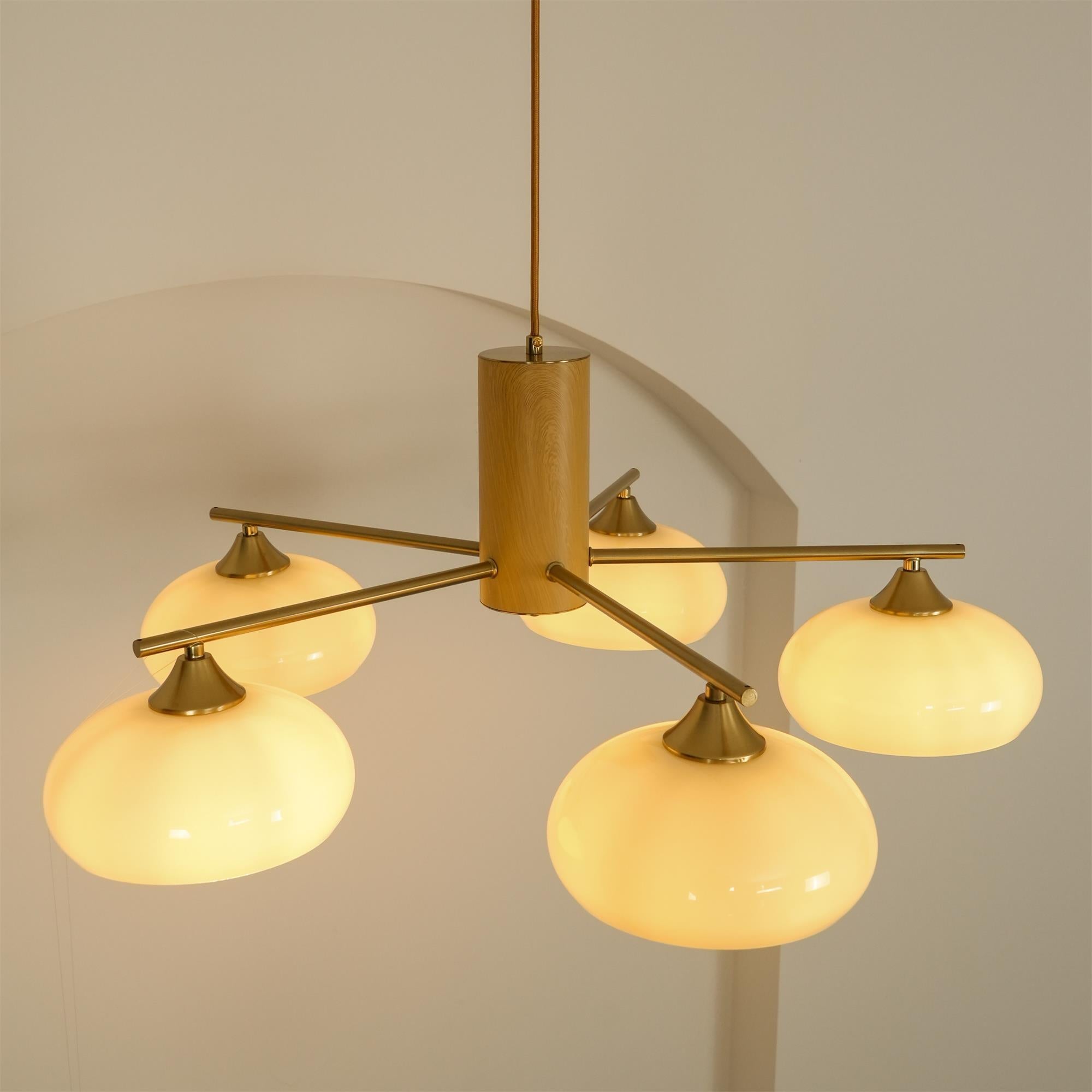 Ovale Design Kroonluchter Met Glazen Kappen En Messing Details Voor Woonkamer En Eetkamer | Sansoti