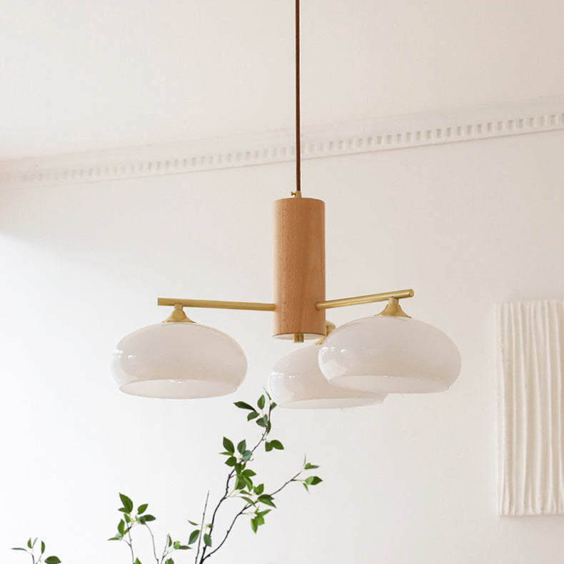 Ovale Design Kroonluchter Met Glazen Kappen En Messing Details Voor Woonkamer En Eetkamer | Sansoti