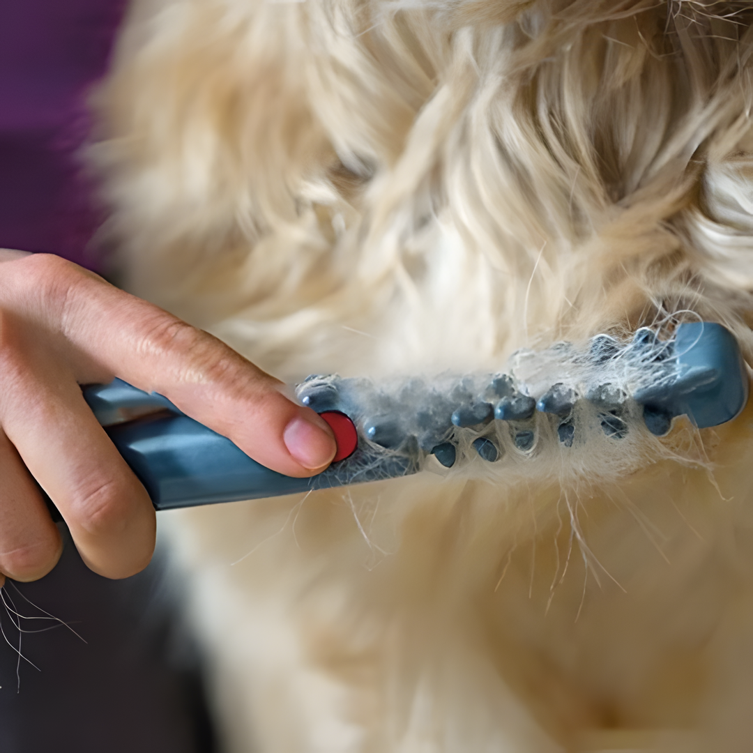 Huisdier Ontklitstrimmer Verzorgingstool Hond Kat Vacht Klitten Verwijderen Veilig Ergonomisch RVS Messen Kam | Sansoti