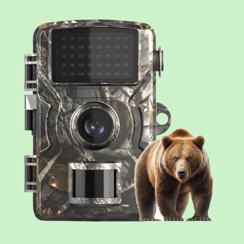Caméra animalière 1080p Vision nocturne Étanche IP66 12MP Capteur de mouvement Photographie de la nature Observation de la faune | Sansoti