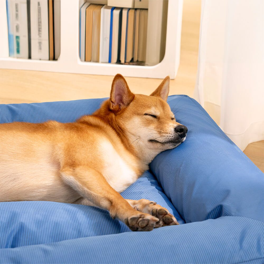 Orthopedisch Hondenkussen Volledig Ondersteunend Waterafstotend Bed Groot Steungevend Comfortabel Voor Honden | Sansoti