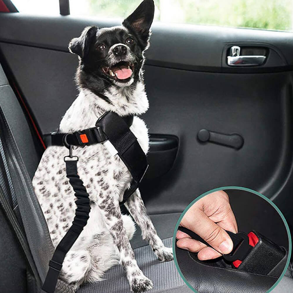 Autogordel Buffer Verstelbaar Hondenhalsband Tuigje Veiligheid Auto Reizen Reflecterend Huisdier Hond | Sansoti