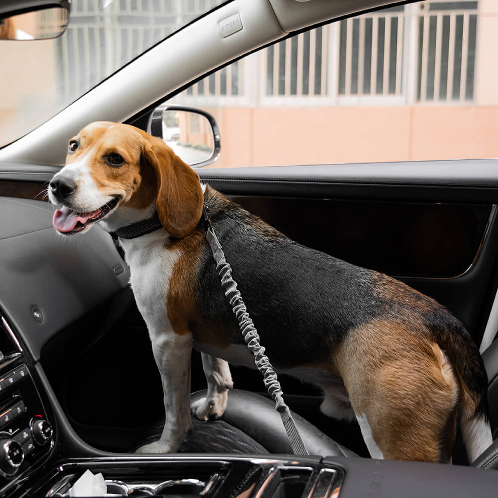 Autogordel Buffer Verstelbaar Hondenhalsband Tuigje Veiligheid Auto Reizen Reflecterend Huisdier Hond | Sansoti