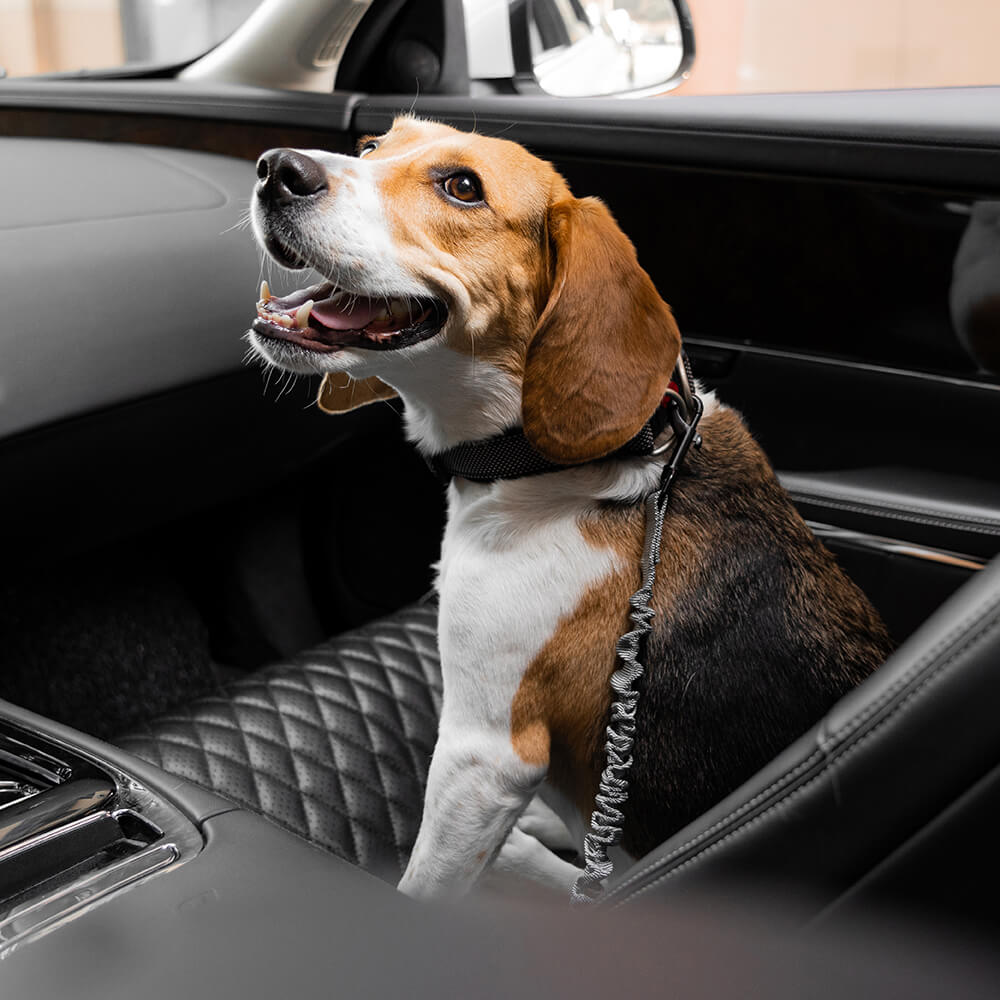 Autogordel Buffer Verstelbaar Hondenhalsband Tuigje Veiligheid Auto Reizen Reflecterend Huisdier Hond | Sansoti