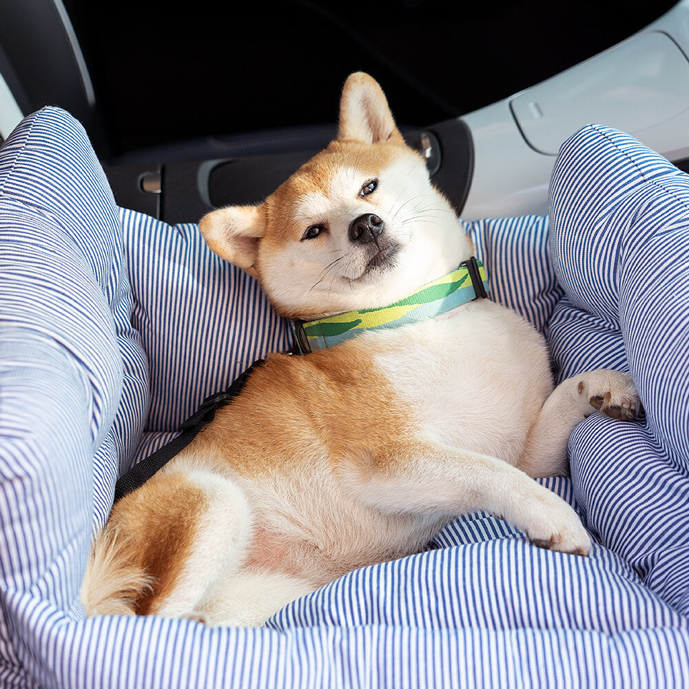 Hondenautostoel Draagbaar Reisbed Comfortabel Bolster Veilige Zetel voor Kleine Honden Katten Huisdieren | Sansoti