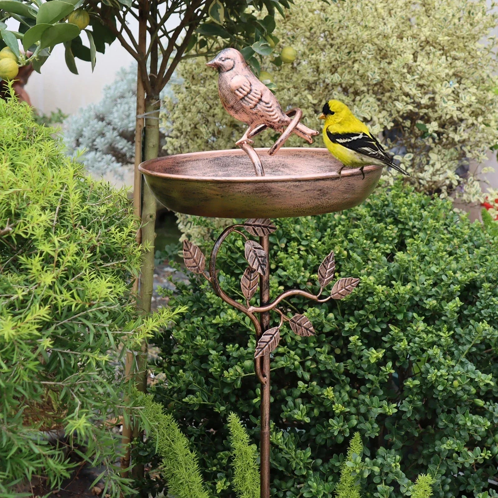 Metalen Vogelbad op Sierlijke Grondpen voor Wilde Vogels in de Tuin | Sansoti