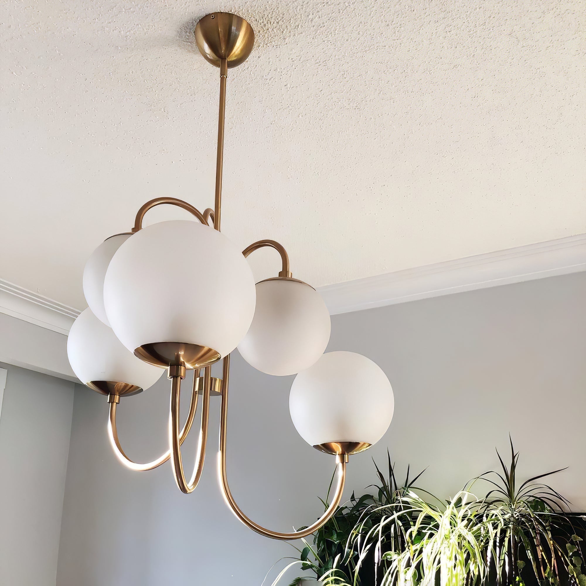 Zwanenhals Kroonluchter Ø76 cm – 8-Lichts Hanglamp met Glazen Bollen Goud/Zwart | Sansoti