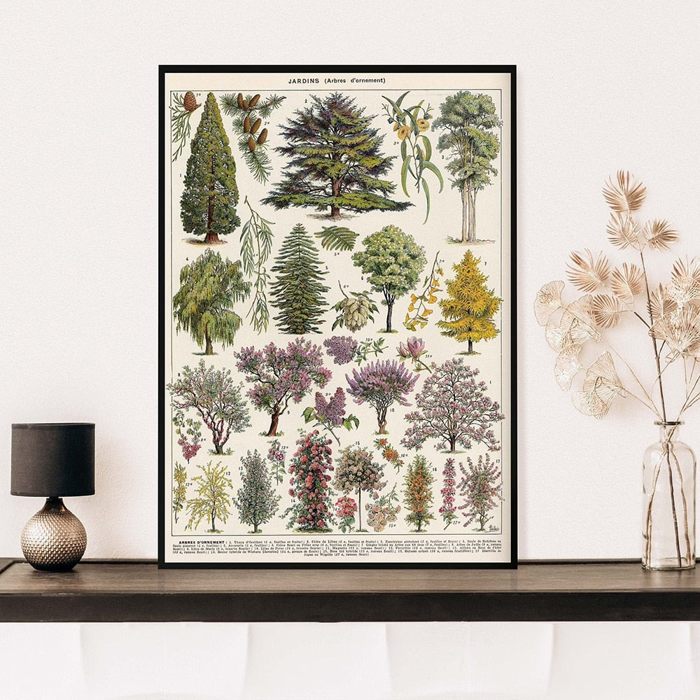 Vintage Botanische Prints Canvas Collectie – Klassieke Plantentekeningen Wanddecoratie | Sansoti