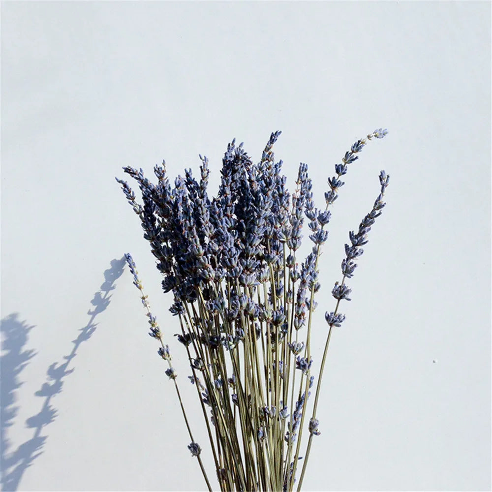 Gedroogde Lavendelbundel Natuurlijk 40cm Geurig Decoratief Paars Boeket voor Interieur en Aromatherapie | Sansoti