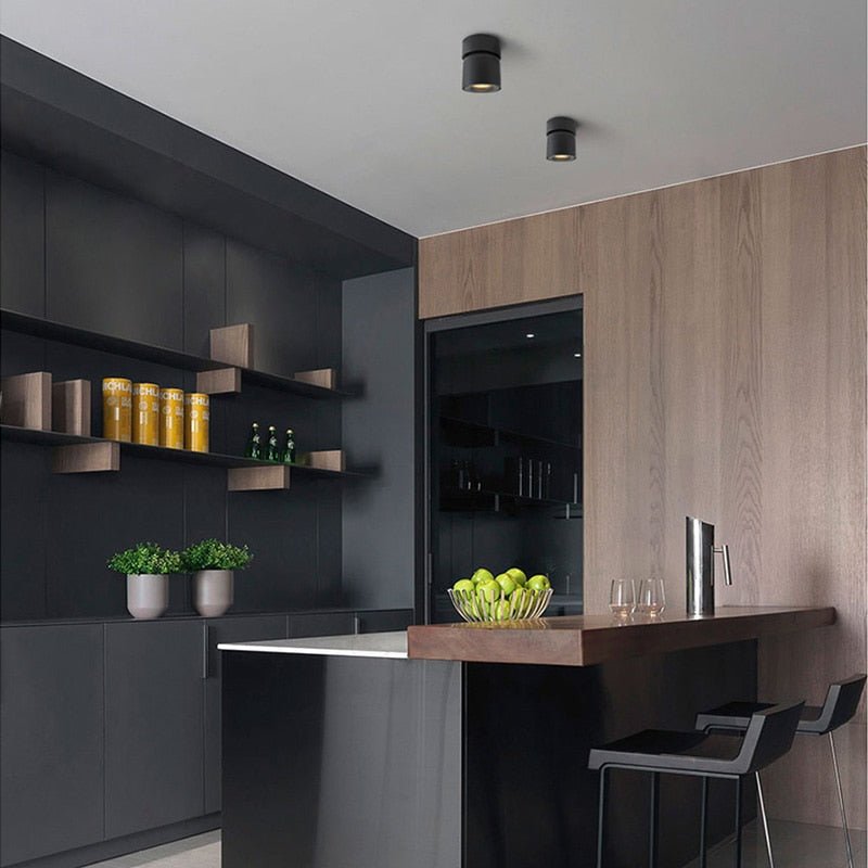 Verstelbare LED Plafondspot Aluminium Zwart Wit Dimbaar voor Woonkamer Keuken Hal Moderne Spot Verlichting | Sansoti
