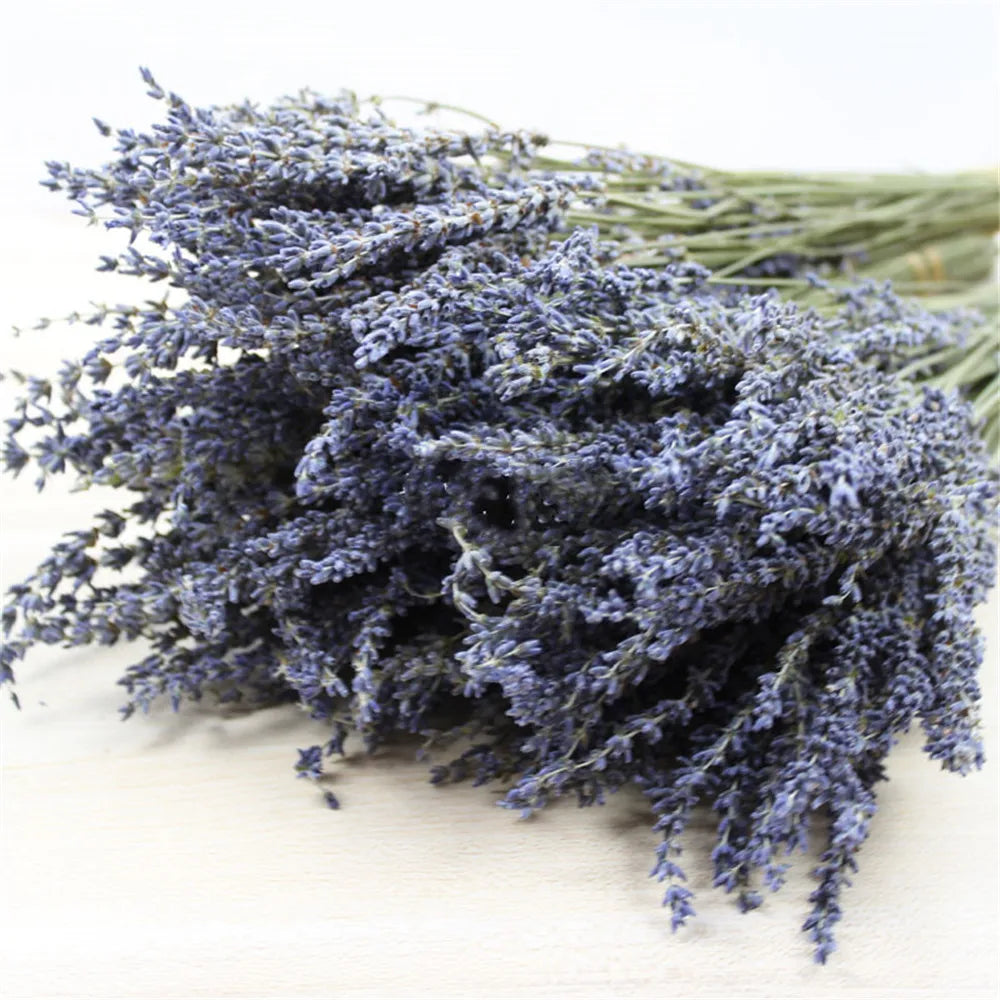 Gedroogde Lavendelbundel Natuurlijk 40cm Geurig Decoratief Paars Boeket voor Interieur en Aromatherapie | Sansoti