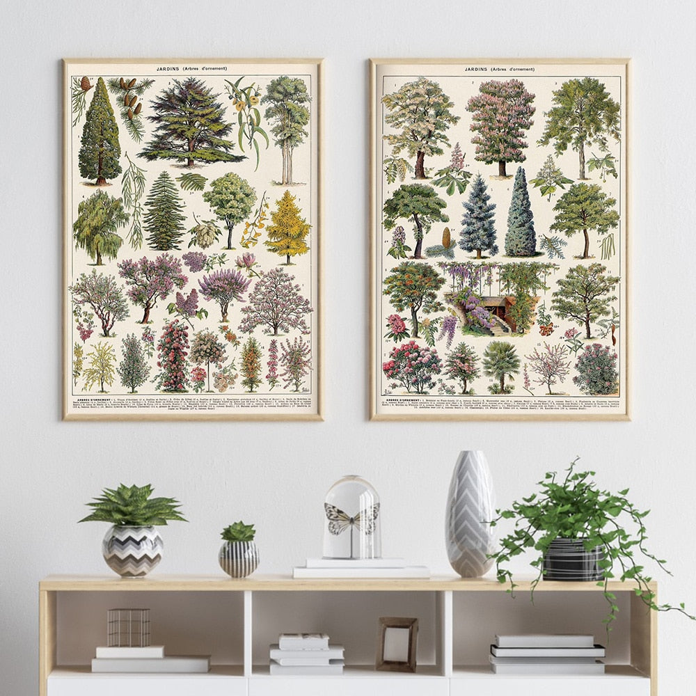 Vintage Botanische Prints Canvas Collectie – Klassieke Plantentekeningen Wanddecoratie | Sansoti