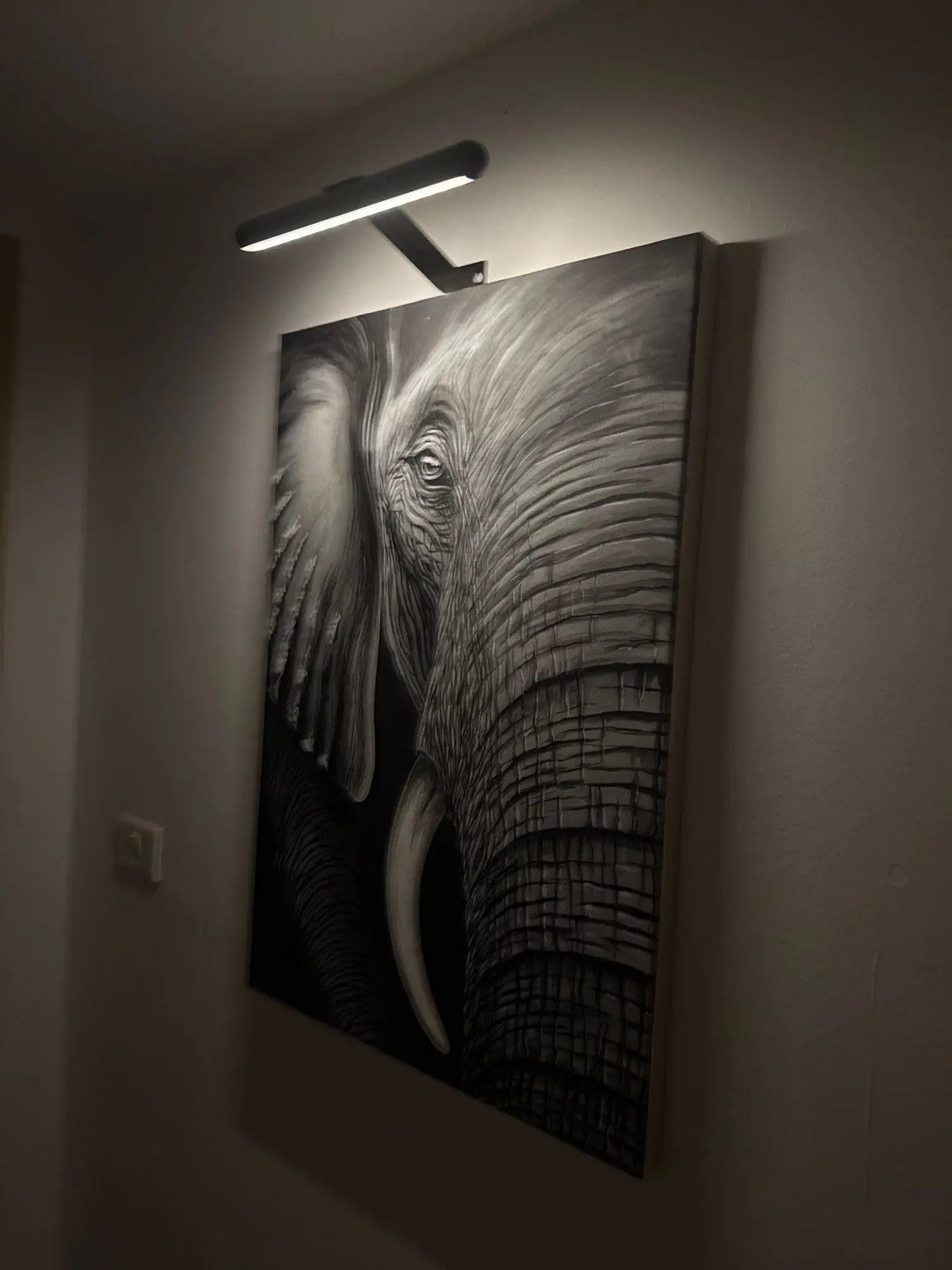 Draadloze LED Schilderijverlichting Zwart Wit Goud Dimbaar Verstelbaar USB Oplaadbaar | Sansoti