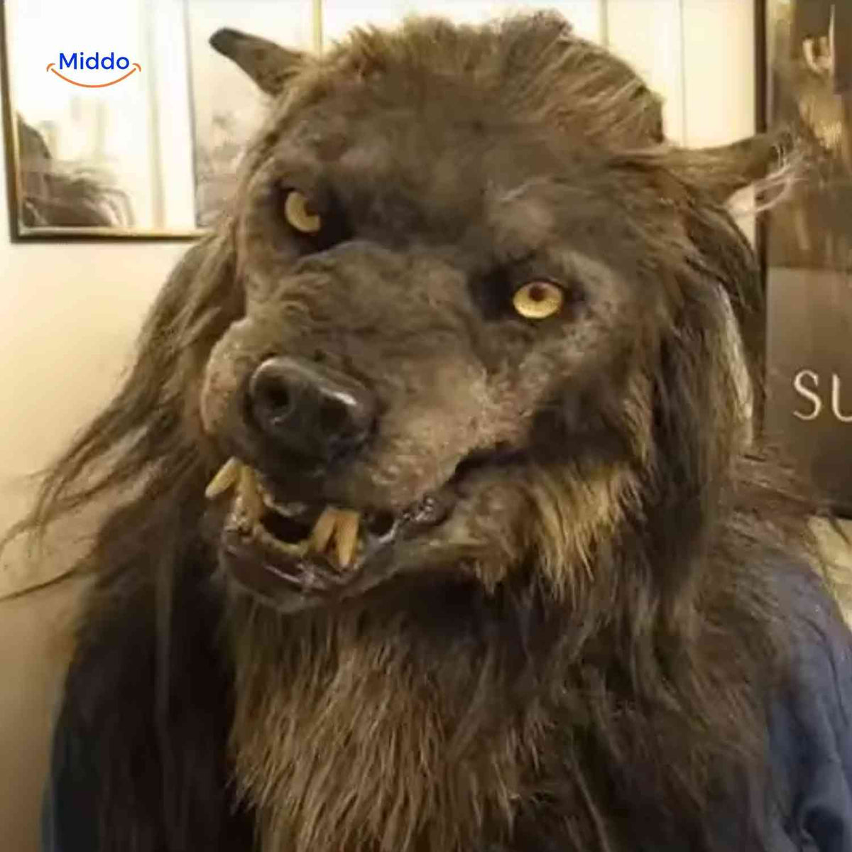 Leuchtende Wolfsmaske 60cm Latex Braun Halloween-Cosplay Kostüm für Themenpartys für Erwachsene und Jugendliche | Sansoti