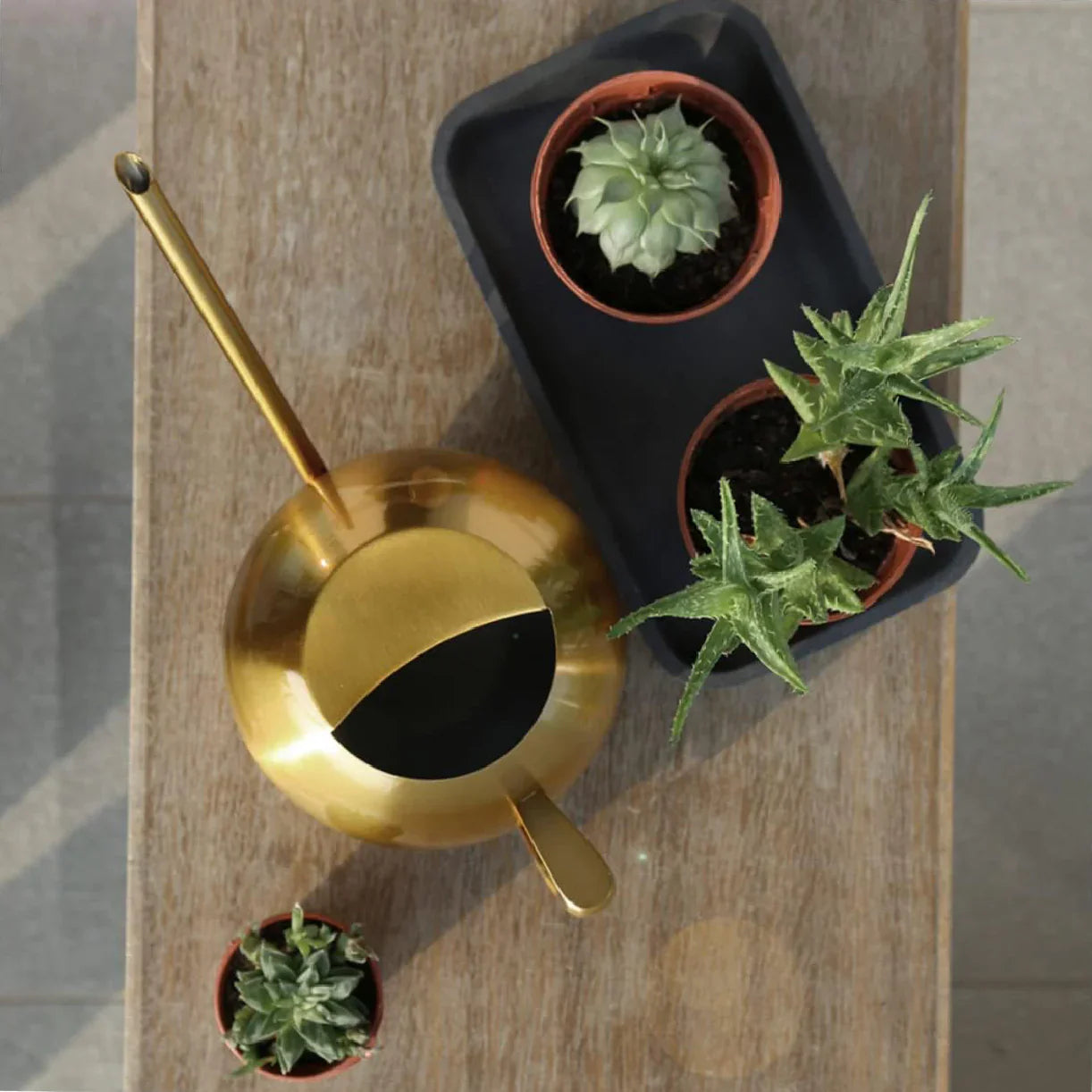 Minimalistische Plantengieter Ø 29 cm Roestvrij Staal voor Interieurplanten 1500 ml | Sansoti
