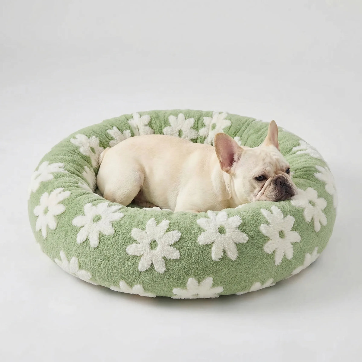 Round Dog Bed with High Rim Small Plush Cushion for Dogs Extra Soft Sleeping Place Comfortable Pet | Sansoti