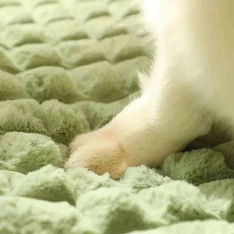 Orthopedic Pet Bed Mat Memory Foam Dog Cat Removable Washable Non-Slip Comfort Sleeping Place XL | Sansoti