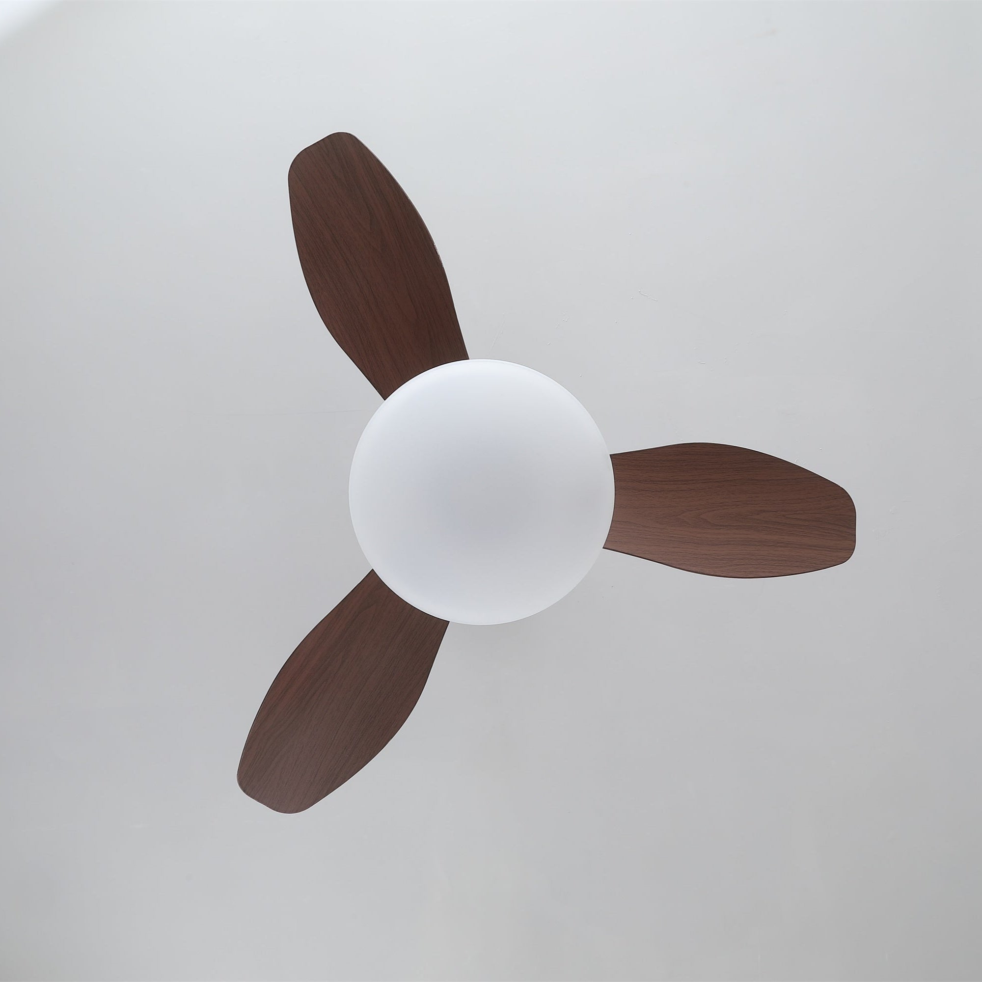 Sylvara Plafondventilator met Verlichting – 80cm – 6-Standen – Modern Design | Sansoti
