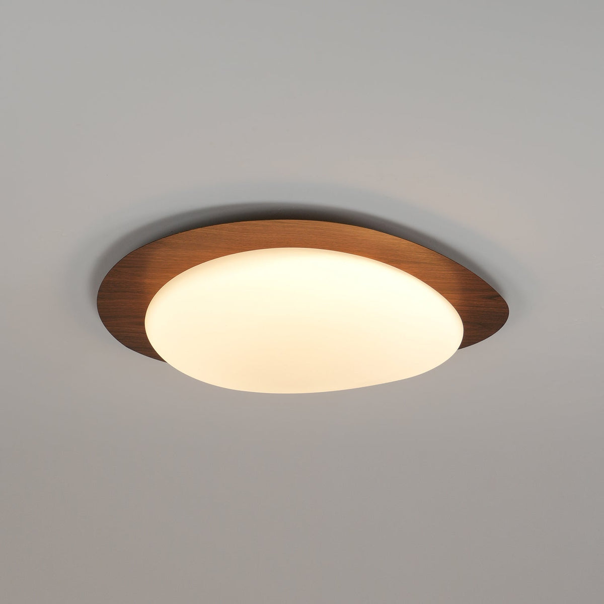 Plafonnier au design organique en forme de galet, finition bois, LED en acrylique, lumière chaude, éclairage pour salon et salle à manger | Sansoti