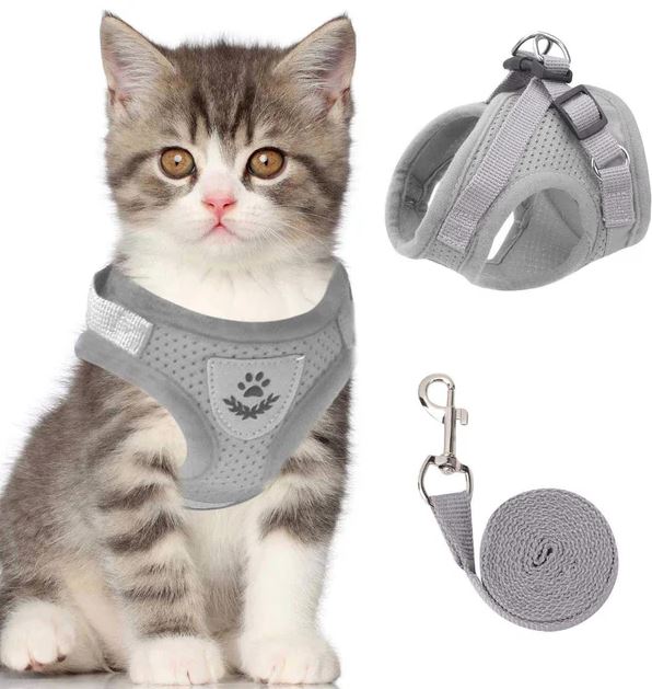 Harnais pour chat réglable avec bande réfléchissante, harnais en maille respirante et laisse de promenade pour chats et chatons | Sansoti