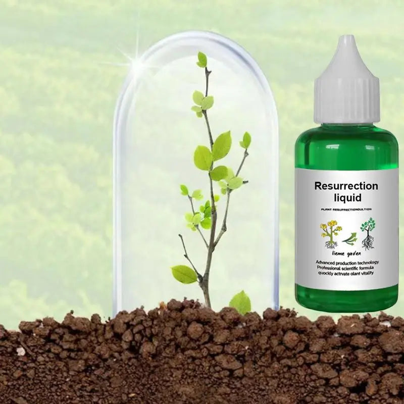 Vloeibare Plantenvoeding voor Sterkere Wortels en Rijkere Bloei | Universele Groeistimulator voor Binnen- en Buitenplanten | Sansoti