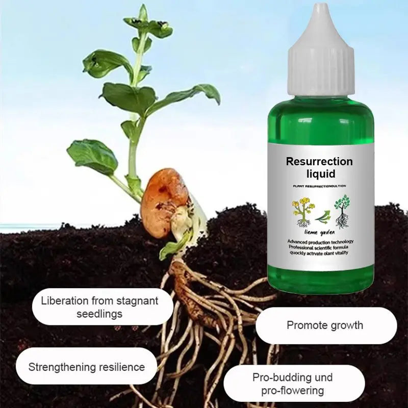Vloeibare Plantenvoeding voor Sterkere Wortels en Rijkere Bloei | Universele Groeistimulator voor Binnen- en Buitenplanten | Sansoti