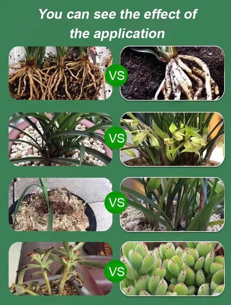 Vloeibare Plantenvoeding voor Sterkere Wortels en Rijkere Bloei | Universele Groeistimulator voor Binnen- en Buitenplanten | Sansoti