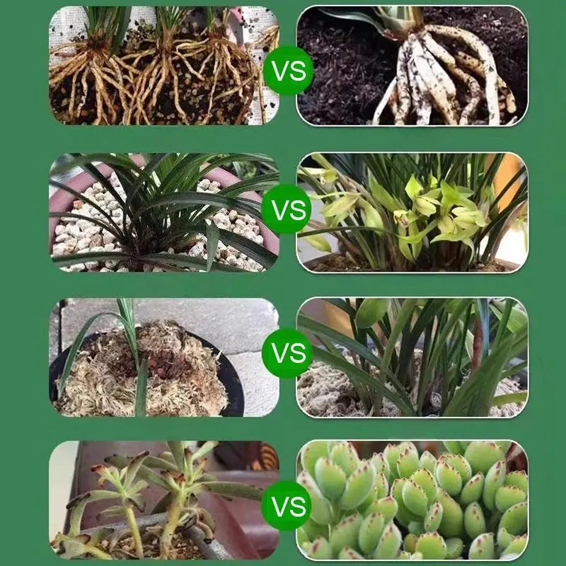 Vloeibare Plantenvoeding voor Sterkere Wortels en Rijkere Bloei | Universele Groeistimulator voor Binnen- en Buitenplanten | Sansoti