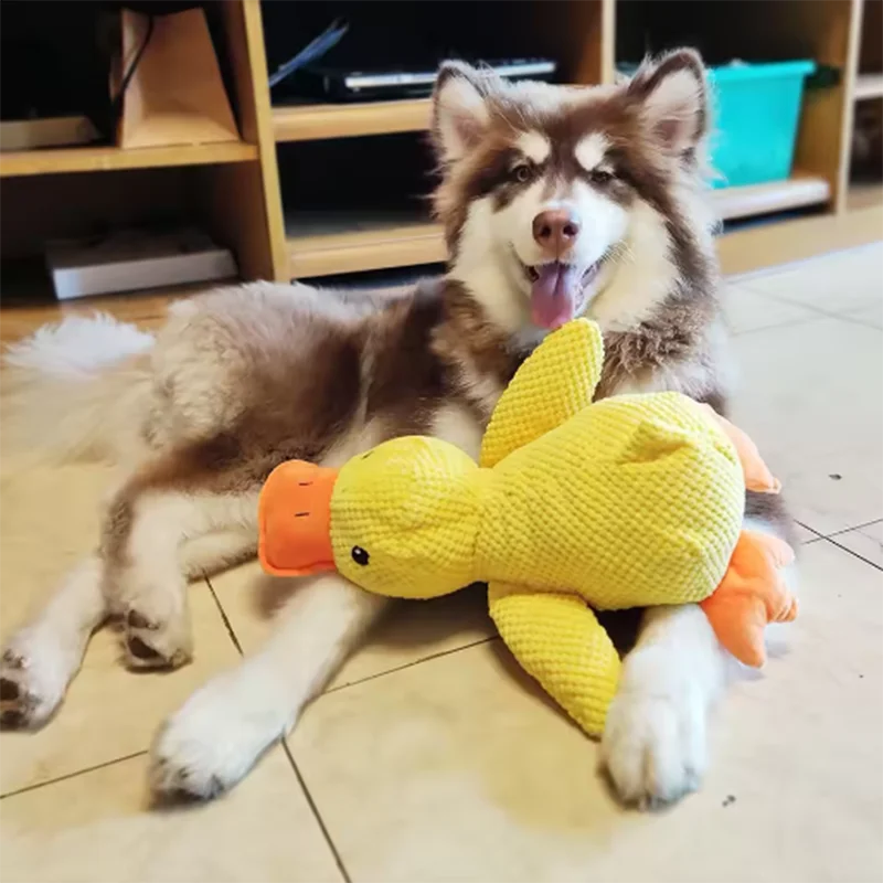 Pluche Eendspeelgoed voor Honden Piepend Knuffel Interactief Huisdier Speelgoed Hondenspeeltje 3 Maten | Sansoti