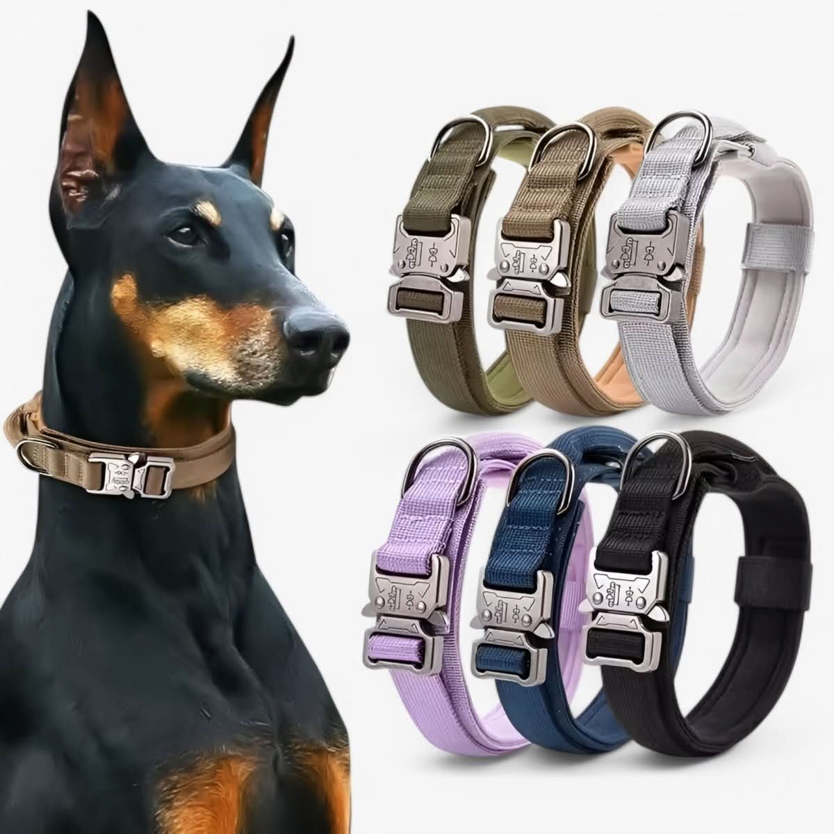 Adjustable Dog Collar with Handle and Soft Padding for Active Dog Training Walking Control | Sansoti