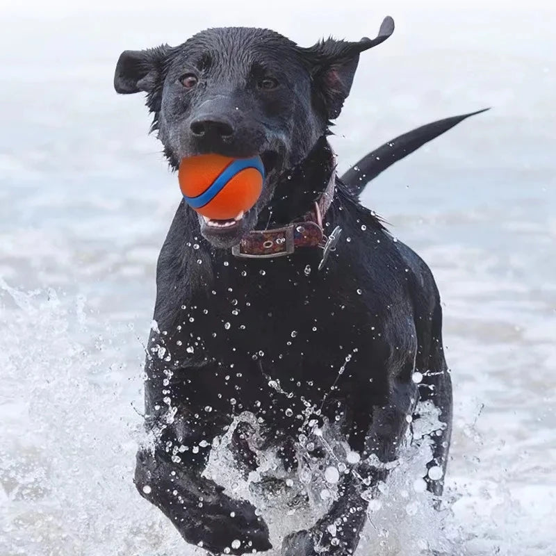 Balle rebondissante pour chiens Jouet en caoutchouc Entraînement au jeu actif Petit Grand Chiot Résistante à la mastication Durable | Sansoti