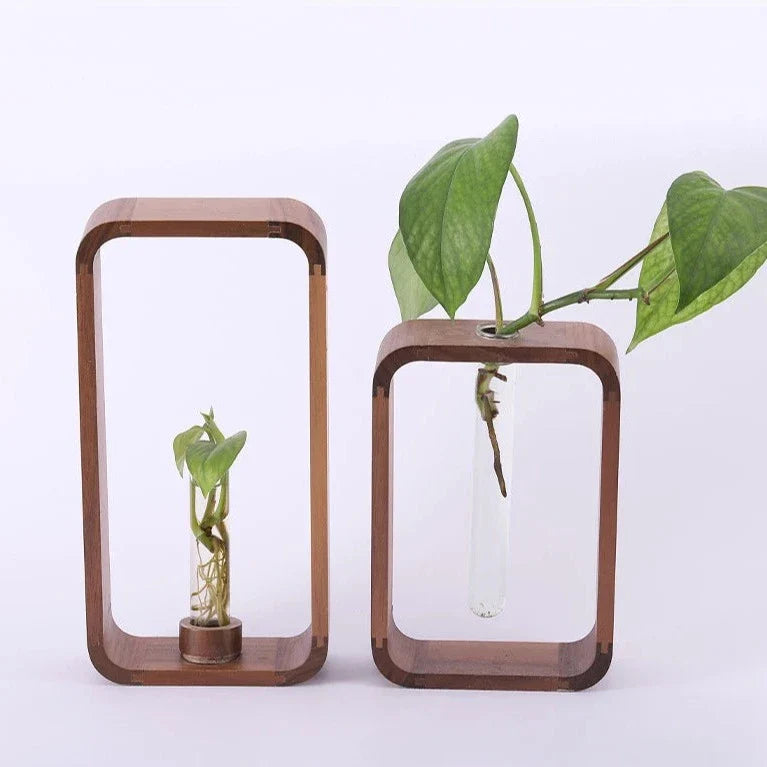 Glazen Vaas voor Stekjes met Houten Standaard – Decoratieve Propagator voor Planten | Sansoti