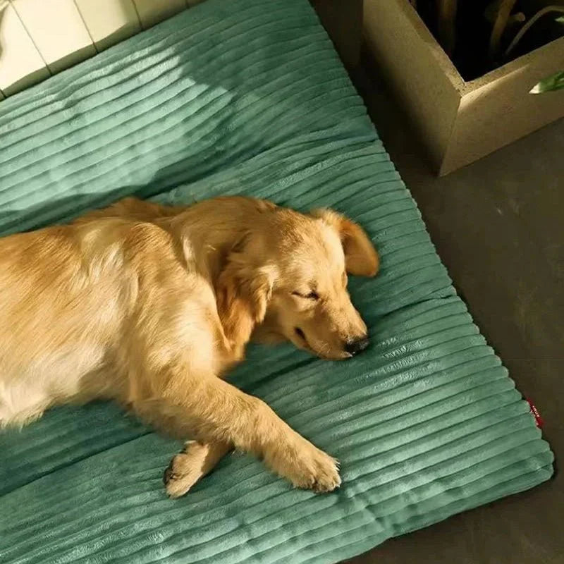 Hundekissen Plüsch Weiche Füllung Bequemes Schlafsofa Hund Welpe Senior Wohnzimmer | Restfield