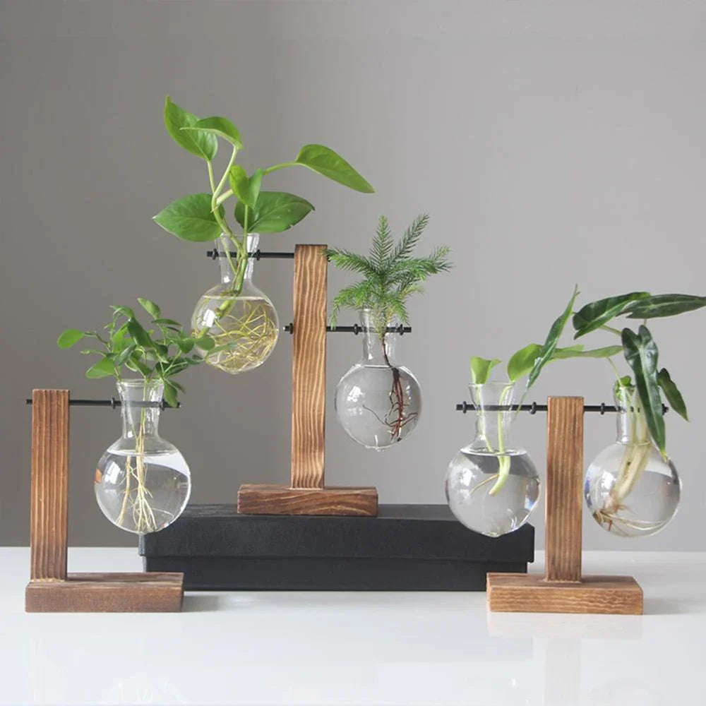 Glazen Vaas op Houten Standaard Decoratief Retro Hydroponics Plantenpot Transparant Glas Sfeeraccent voor Bloemen en Stekjes | Sansoti