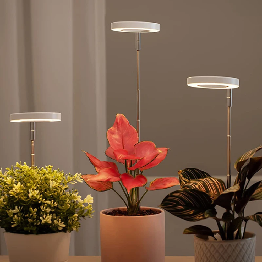 Adjustable Full-Spectrum LED Grow Light with Gooseneck for Indoor Houseplants 20-65cm Plant Light | Sansoti