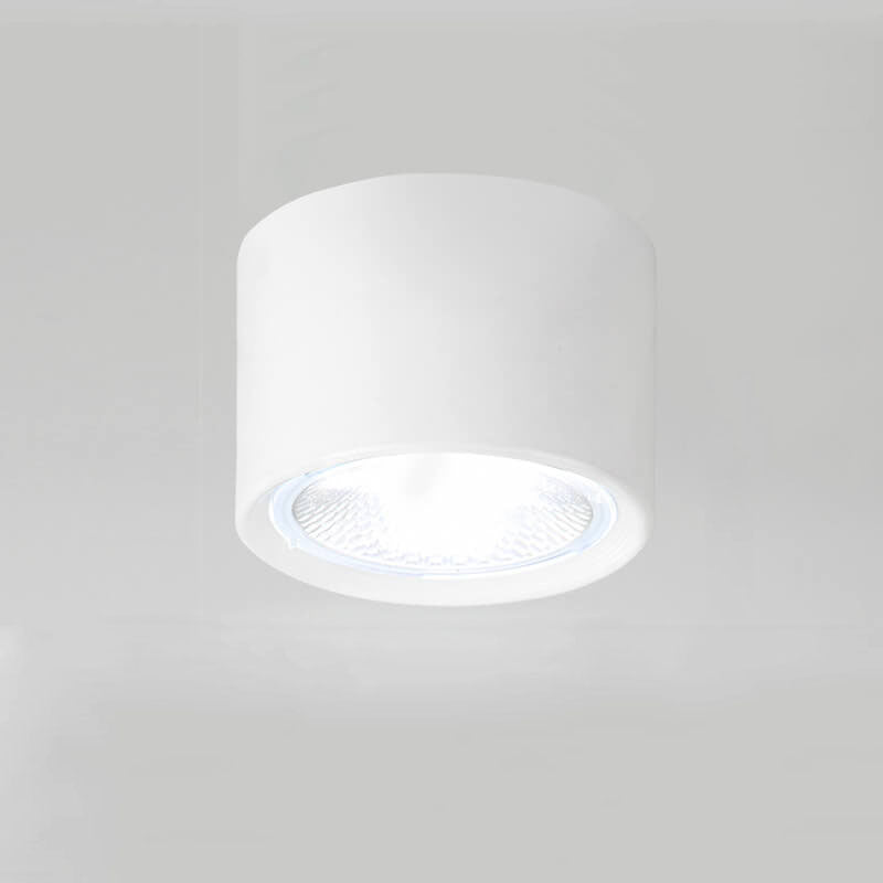 Cylindrical Ceiling Light Nordic Style Aluminum Spotlight Living Room Bedroom Hallway 3000K 6000K | Sansoti