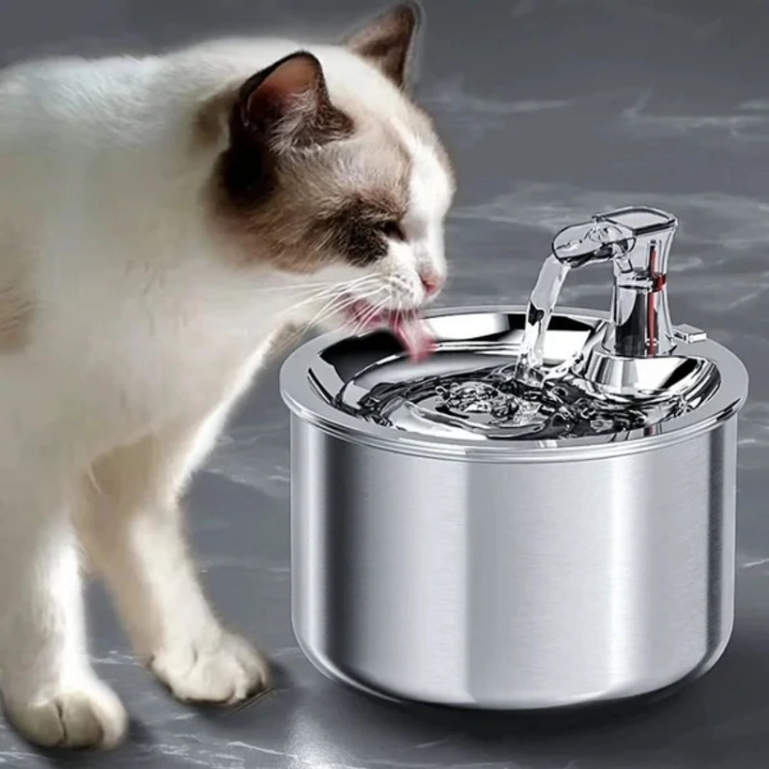 Abreuvoir automatique pour animaux en acier inoxydable 2L avec capteur de mouvement, pompe de circulation, alimentation USB et système de filtration à 4 niveaux | Sansoti