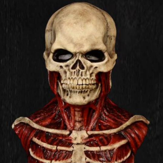Horrormasker Schedel Latex Griezel Accessoire Feestmask Halloween Themafeest Carnaval Verkleedkostuum | Sansoti