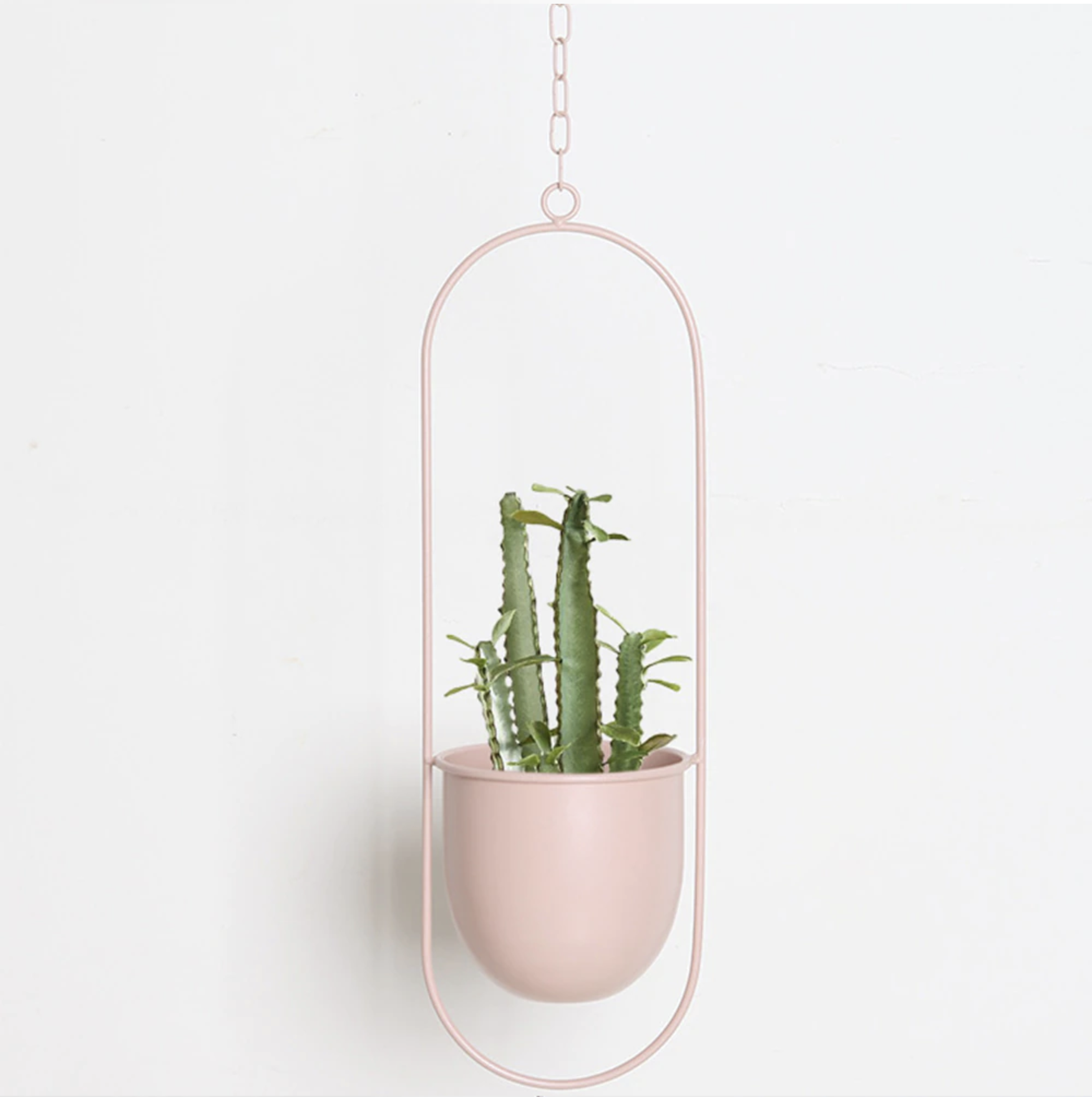 Wandplantenhouder met Minimalistisch IJzeren Frame voor Hangplanten | Sansoti