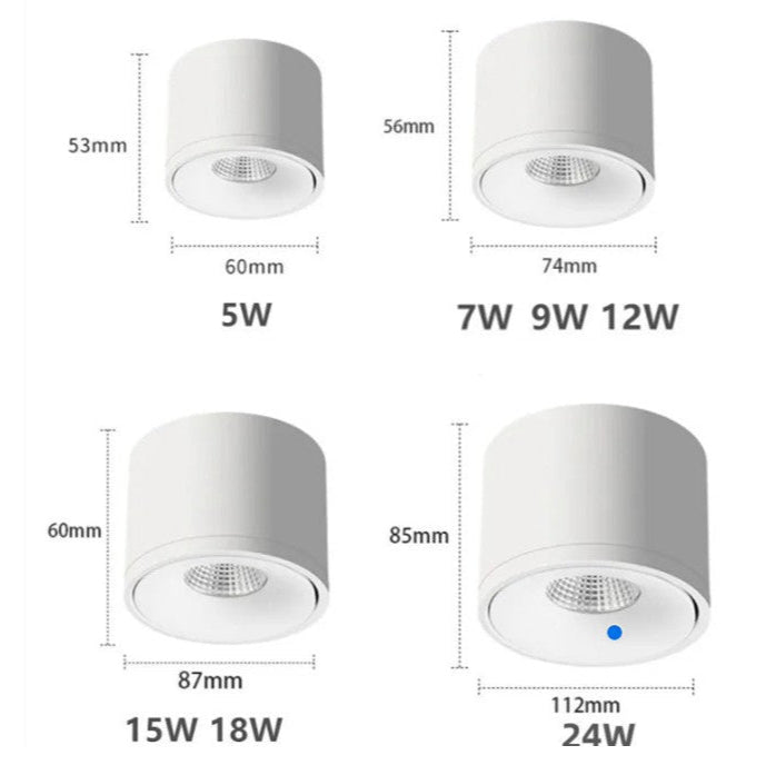 Adjustable ceiling spotlight with 360° rotatable spotlight head, black and white modern surface-mounted lighting for the living room | Sansoti