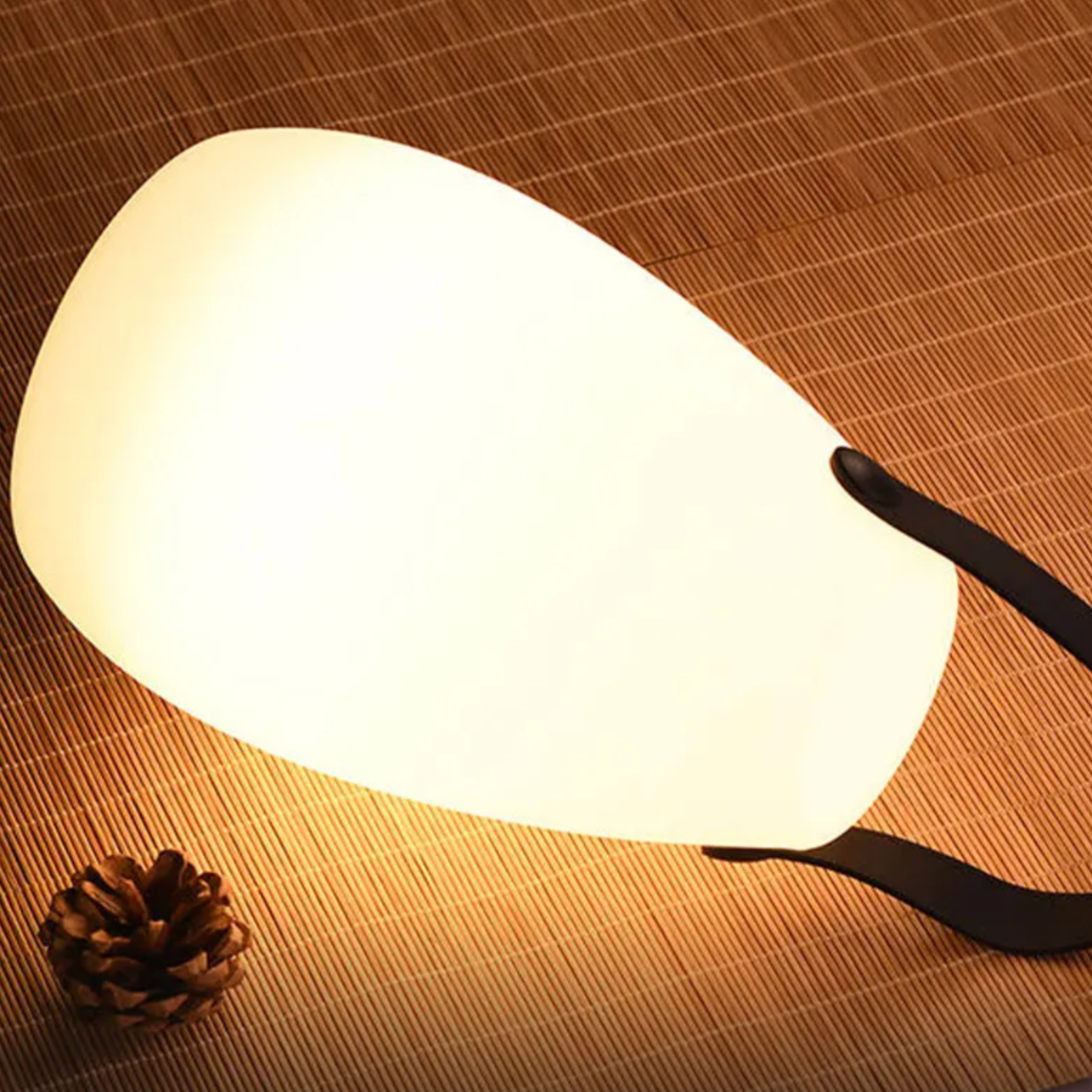 Draadloze Outdoor LED Lamp met Afstandsbediening en Timer - Waterdicht Sfeerverlichting met 8 Kleuren voor Terras en Tuin | Sansoti