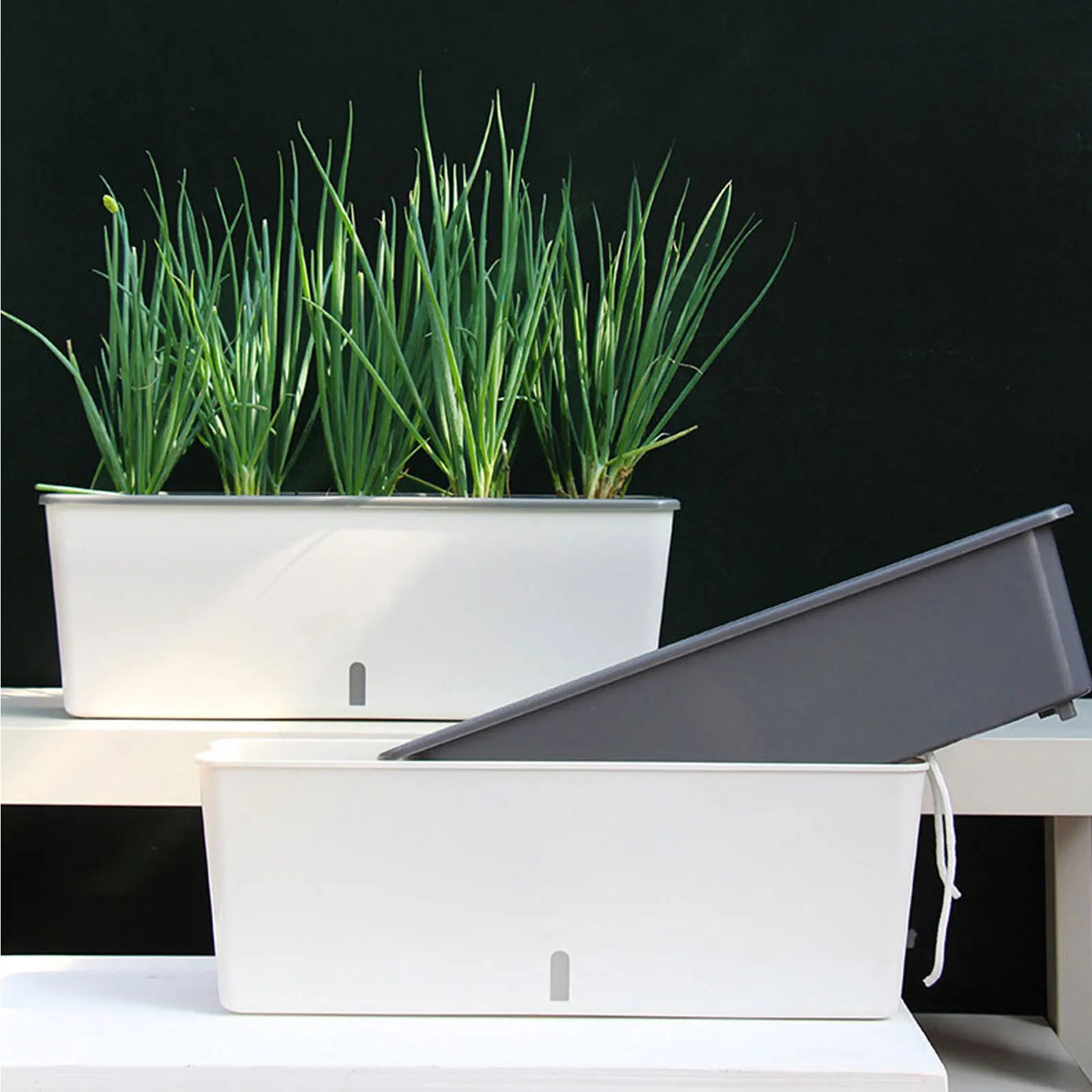 Zelfwaterende Plantenbak 43,5cm Waterniveau-indicator Kunststof Buiten Balkon Vensterbank Bloembak Kruidenbak Tuin | Sansoti